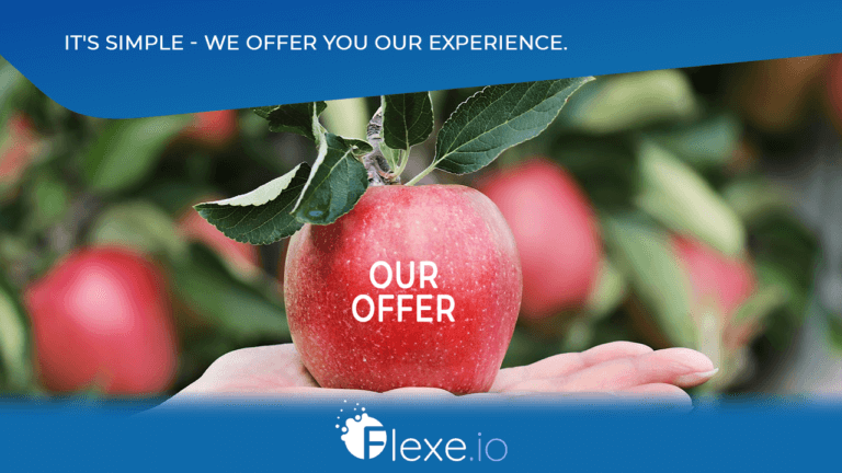 Flexe.io marketing services - what do we offer